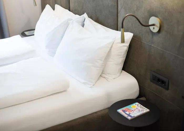 Apartment Alte Schmiede Apartments&rooms *